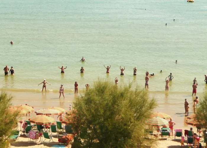 Hotel Narcisi Roseto Degli Abruzzi