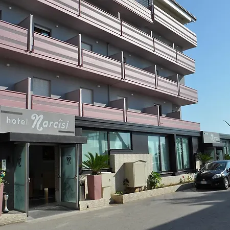Hotel Narcisi 3*