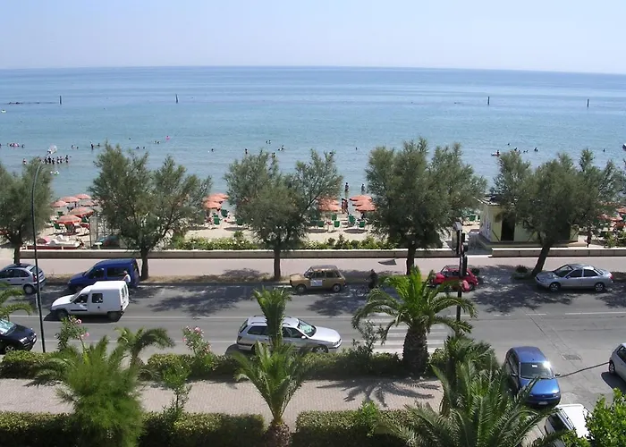 Narcisi 3* 로세토데글리아브루찌