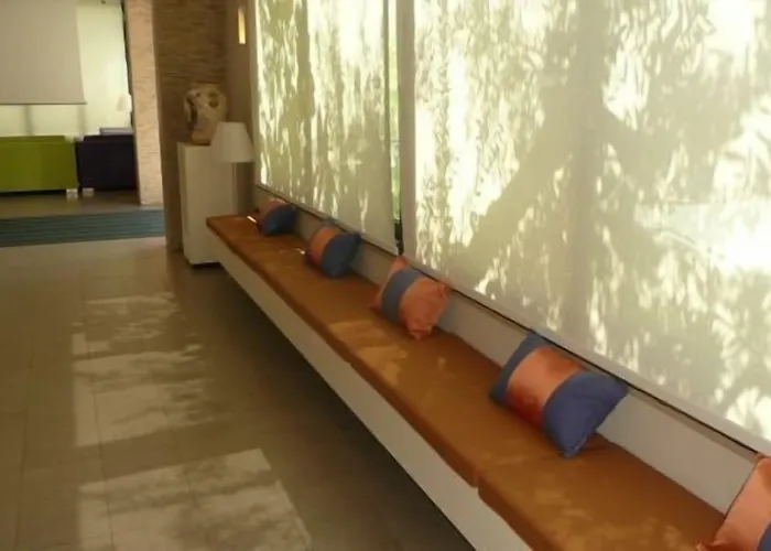 Narcisi 로세토데글리아브루찌