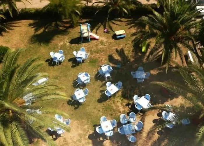 Narcisi Roseto Degli Abruzzi